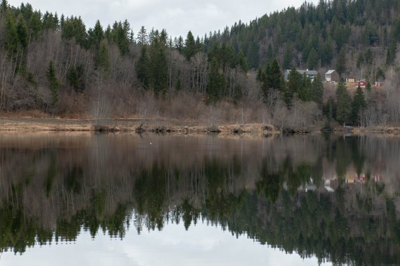 Nid-elven (Nidelven). Foto Mats Johannesen