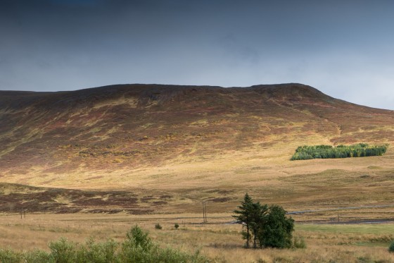 Sælingsdalstunge (Sælingsdalstunga). Foto: Einar Guðsteinsson