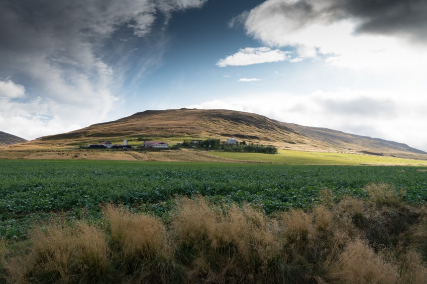 Sødefjeld (Sauðafell). Foto: Einar Guðsteinsson 