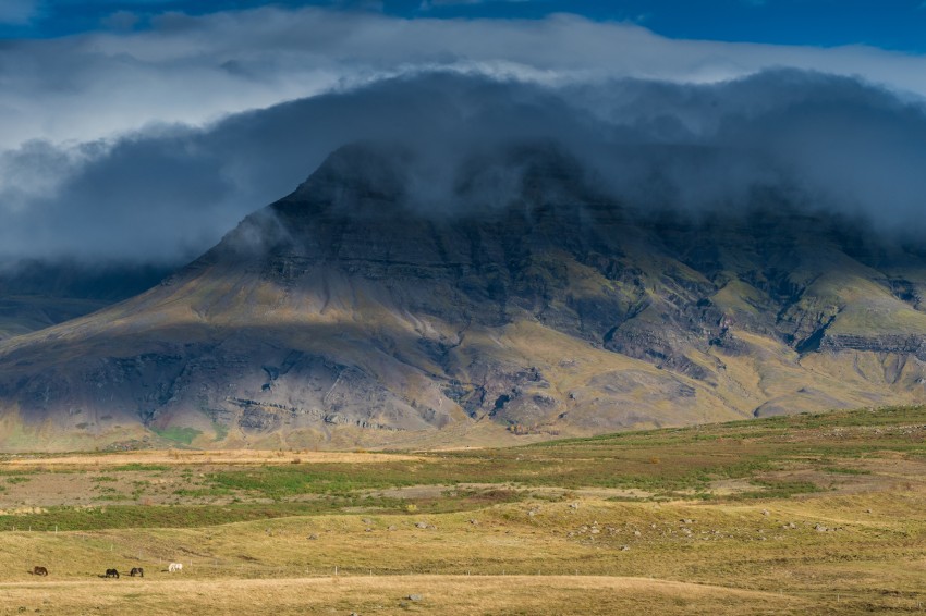 Teltenæs (Tjaldanæs). Foto: Einar Guðsteinsson 