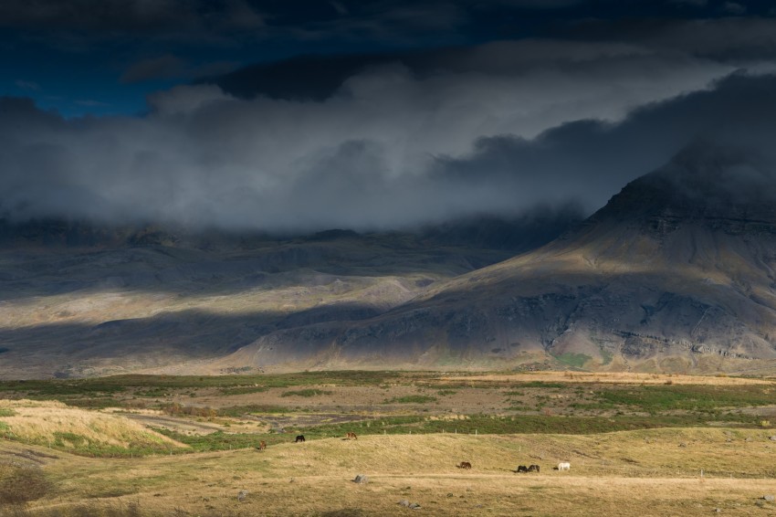 Teltenæs (Tjaldanæs). Foto: Einar Guðsteinsson 